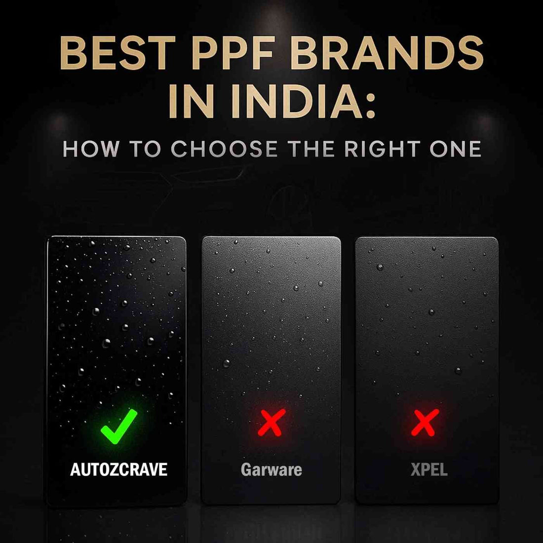 Best PPF Brands in India: How to Choose the Right One